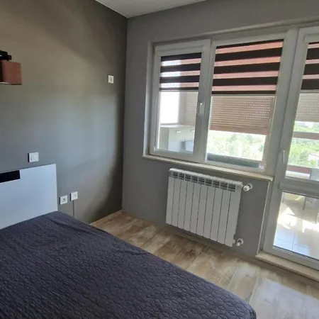 Daire зорница